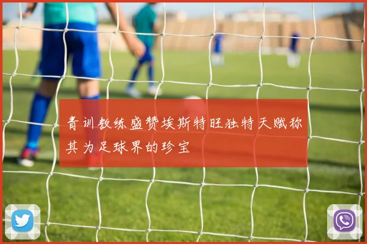 青训教练盛赞埃斯特旺独特天赋称其为足球界的珍宝
