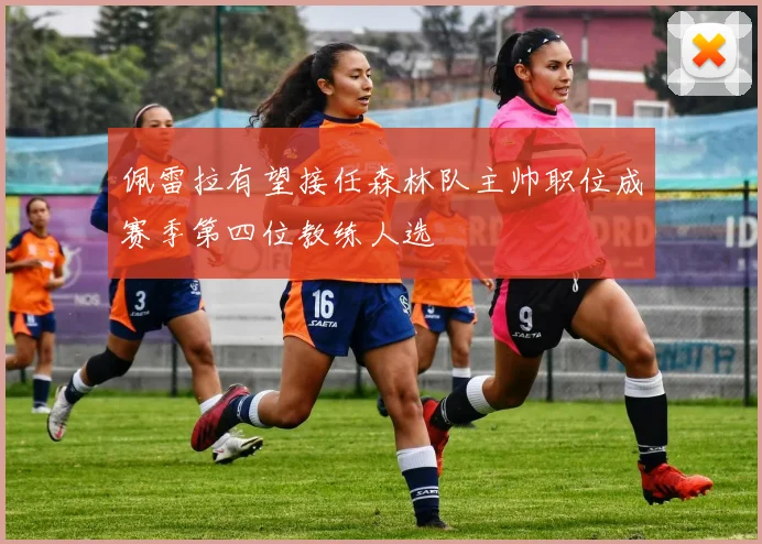 佩雷拉有望接任森林队主帅职位成赛季第四位教练人选