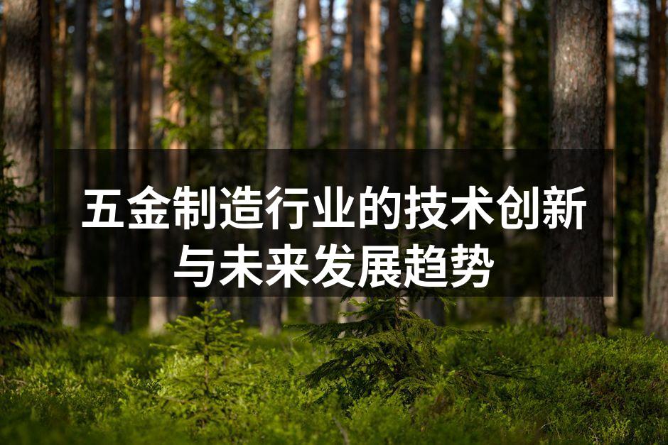 五金制造行业的技术创新与未来发展趋势